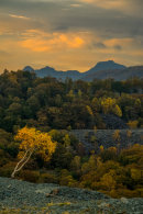 Autumn at Hodge.