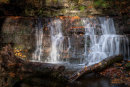 Scaleber Force 2.