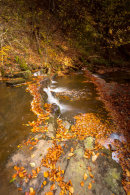 Scaleber Force 3.