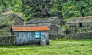 Shed amongst the Barns.