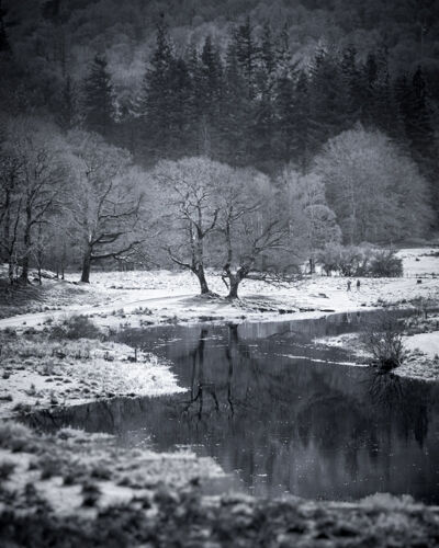 Skelwith