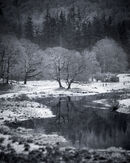 Skelwith