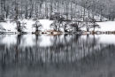 Grasmere