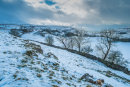 Southerscale, Dales