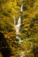 Stockgill Force 1