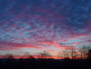 Early Morning