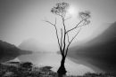 Buttermere Mist