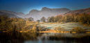 View from Loughrigg Tarn