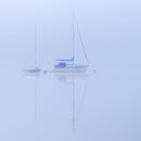 Mist.