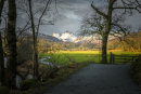 Beyond the Gate.