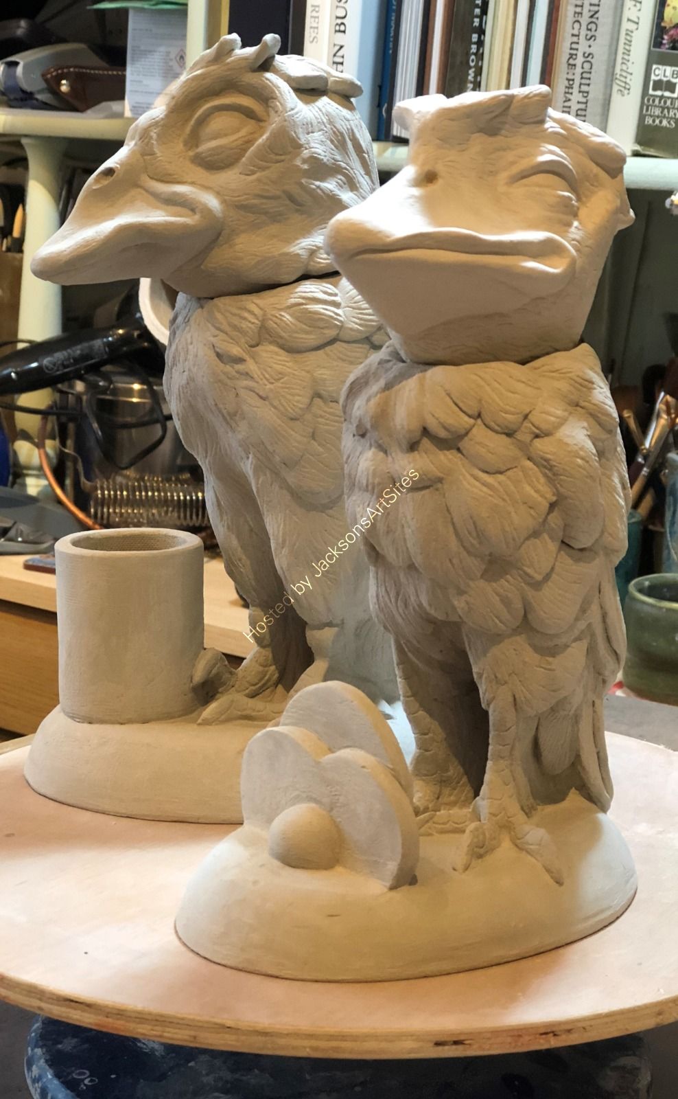 Unfinished Wims birds