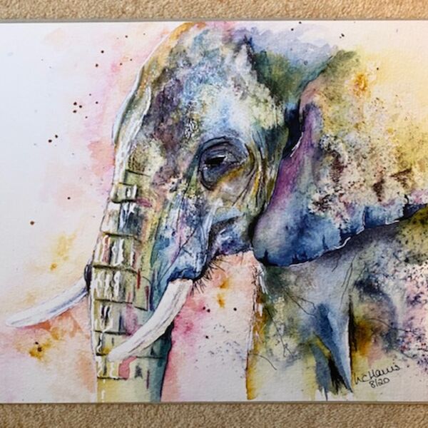 Matriarch of the Herd A3 print