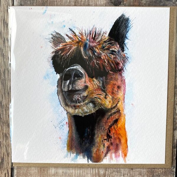 "Back of the Net" Alpaca card