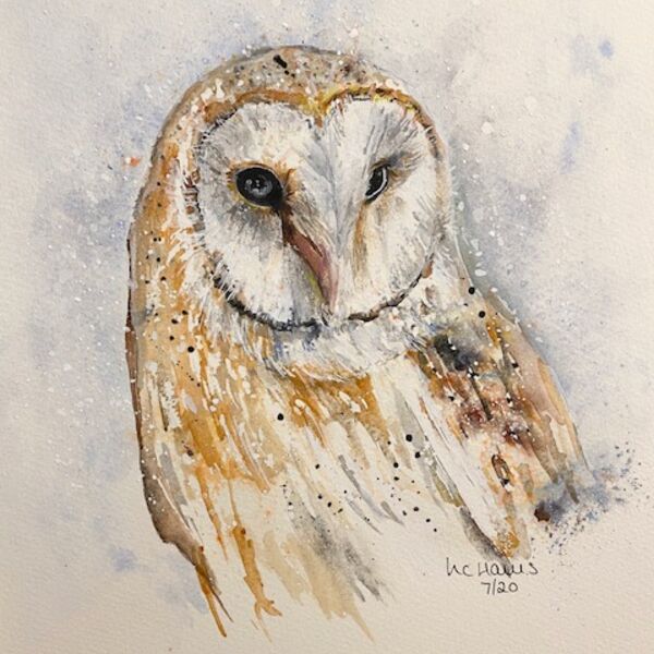 Wise Barn Owl card