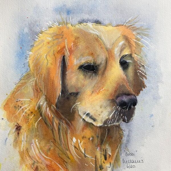 Golden Retriever card