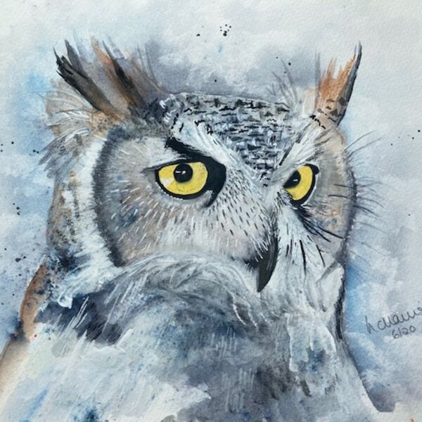 Bright Eyed Owl card