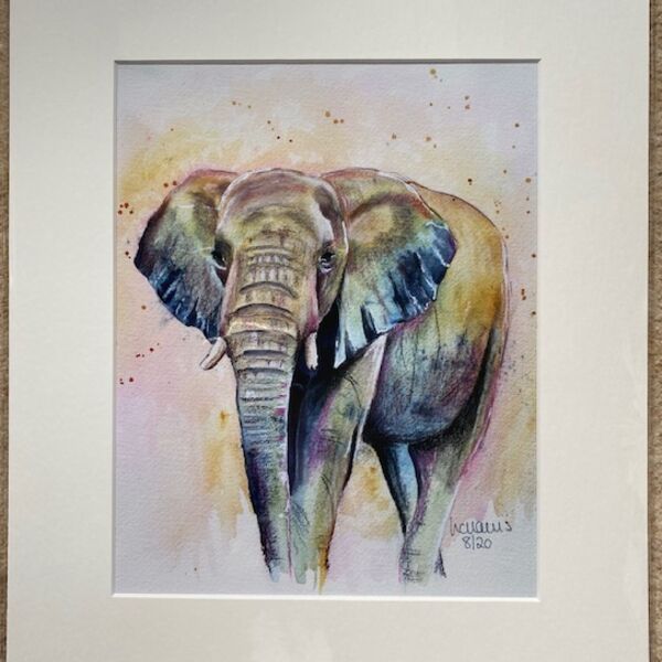 Elephant 1 mounted print