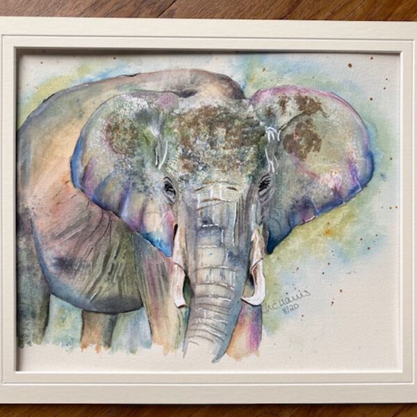 Elephant in Mixed Media