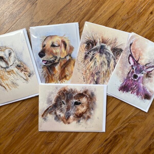Choose any six cards for £12.00