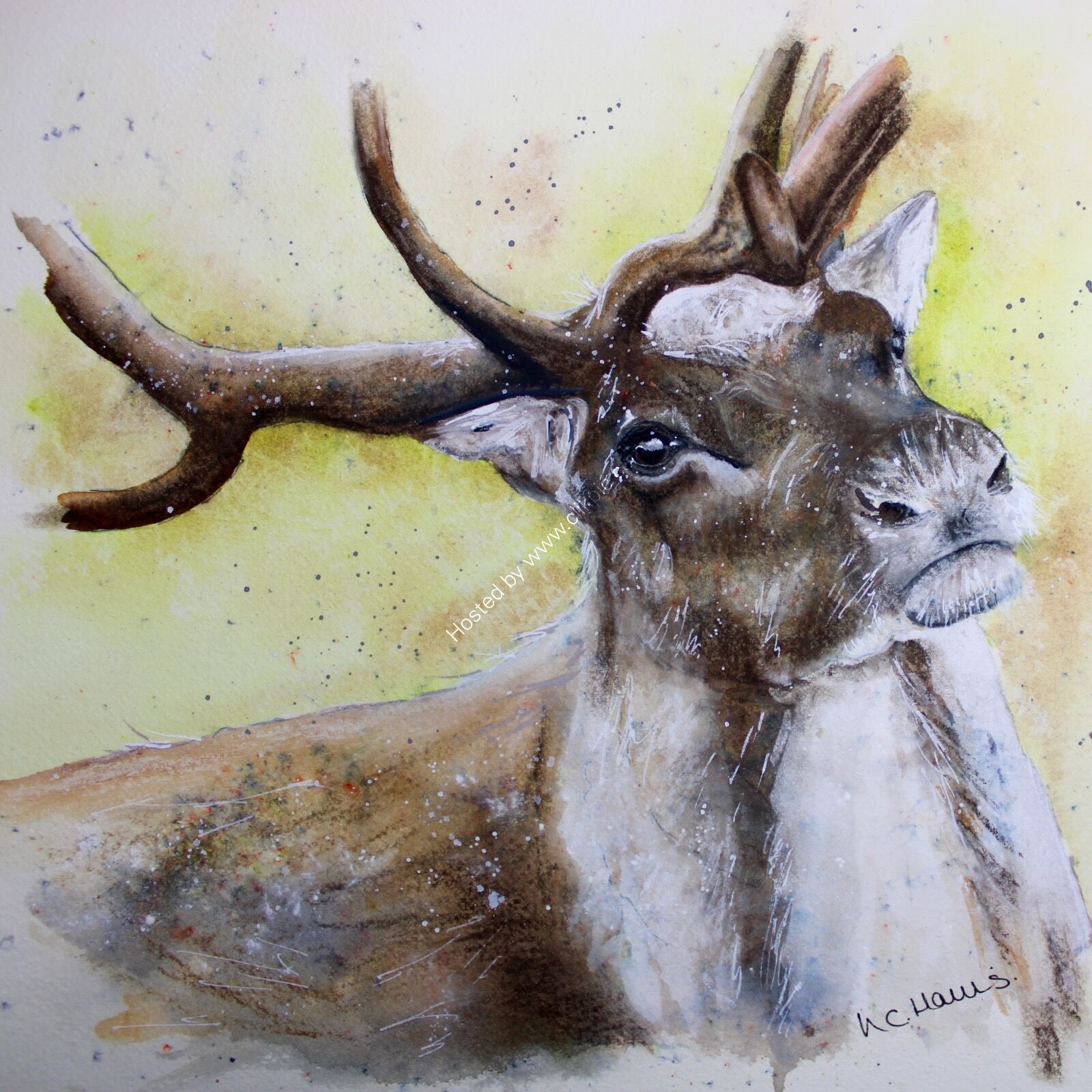 Sleigh Time