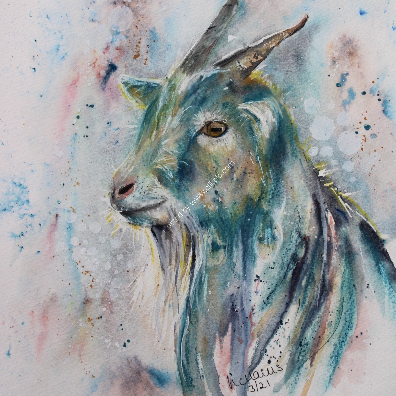 Dreamy Goat