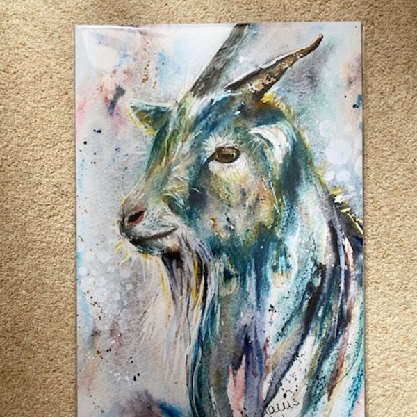 A3 Print of Dreamy Goat