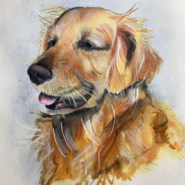 Golden Retriever 2 card