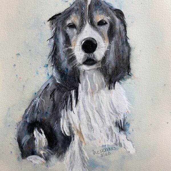 Commission Paintings