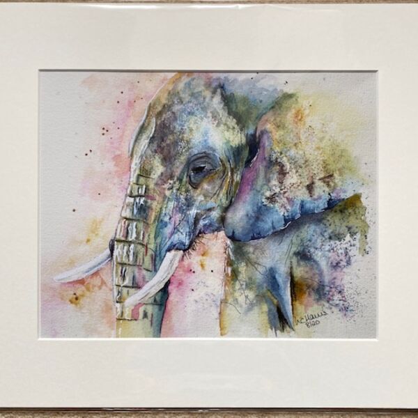 - SOLD - Matriarch of the Herd mounted print