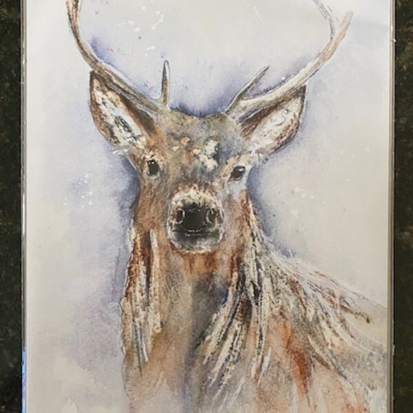 Natural Stag A3 Print - SOLD