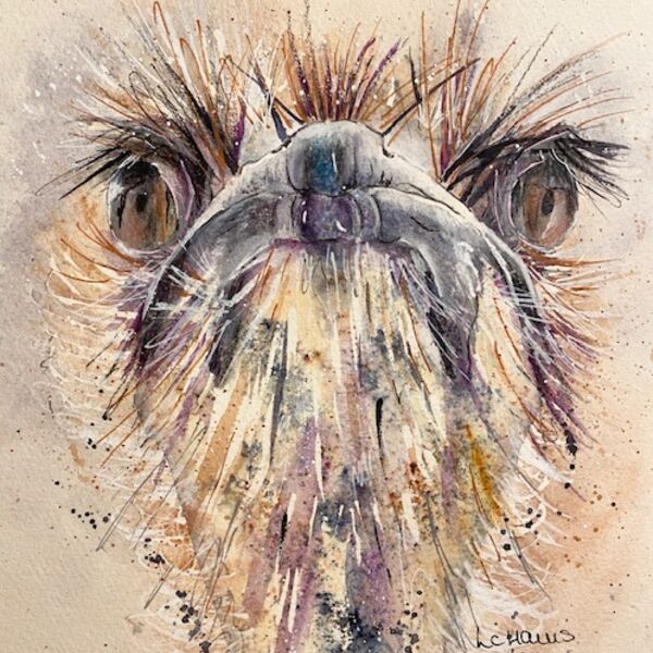 Ostrich With Attitude card