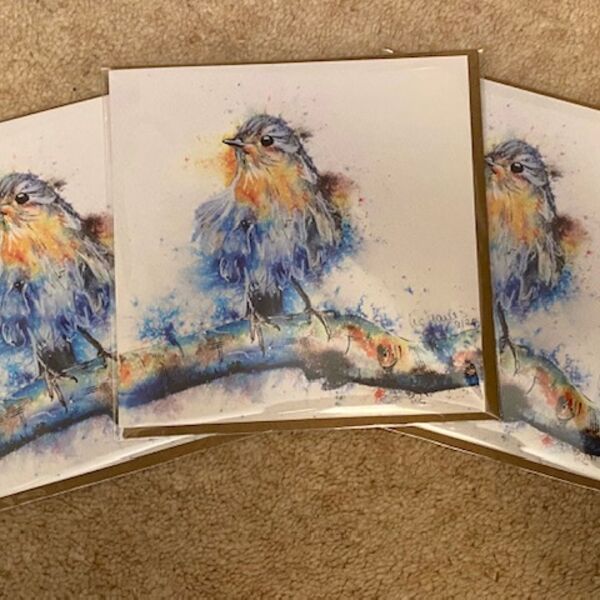 Pack of 3 Robin cards for £6.50