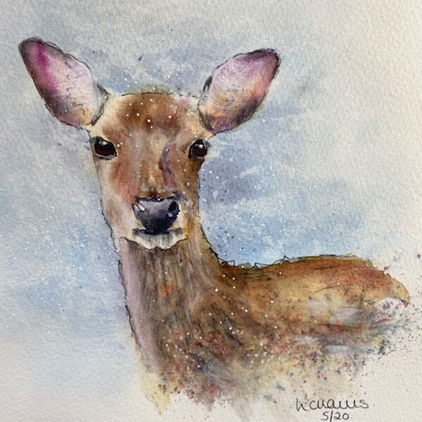 Roe Deer card