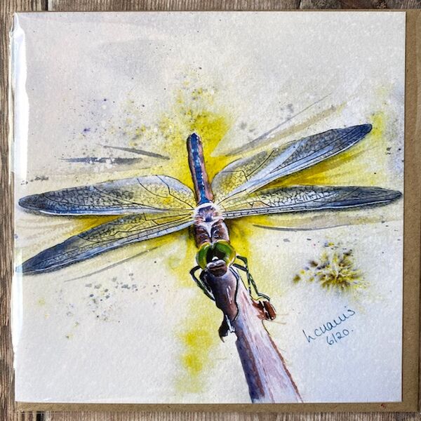 Spread Your Wings and Fly card