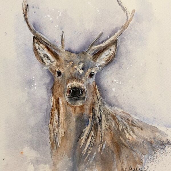 Natural Stag card