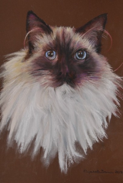 Pastels - Click on an image to open it up.