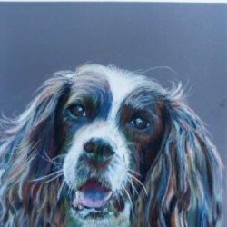 Monty Pastel drawing