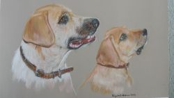 Pastel Dog Drawing