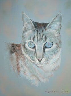 Blue Eyed Cat Pastel Drawing