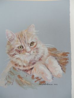 Cat Pastel Drawing