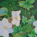 Anemones - acrylic