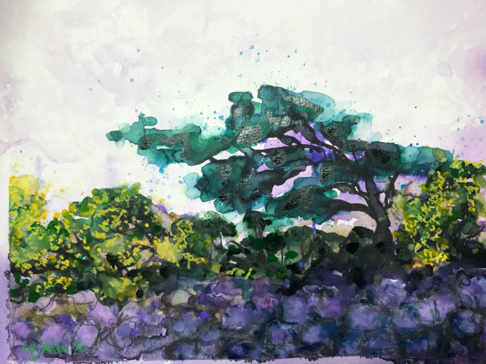 Hedge in Winter
