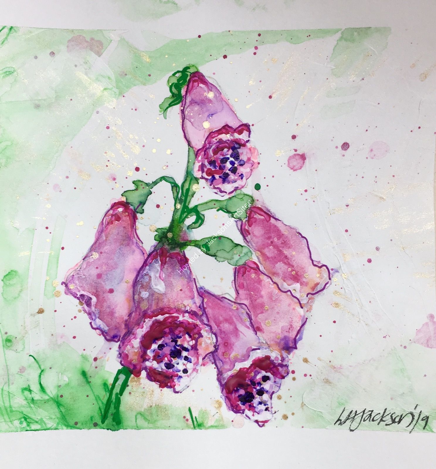 Foxglove