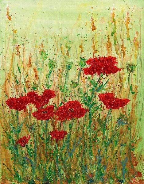 Papaver SOLD