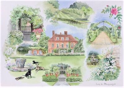 House , garden and dogs