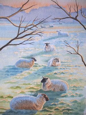 sheep in morning sun watercolour