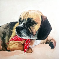 Dog portrait commission