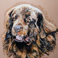 Dog Portrait - Nelson Pet Dog Portrait Painting, Nelson