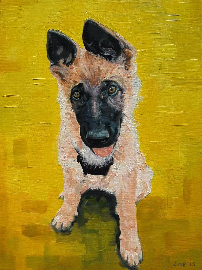 'Untitled' German Shepherd Dog Portrait