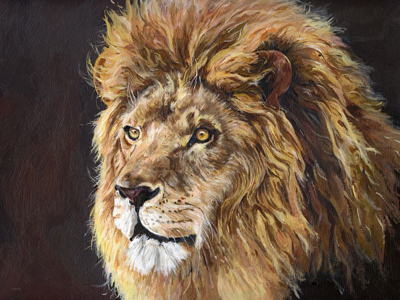 'King Lion'